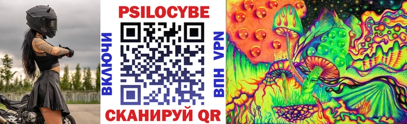Галлюциногенные грибы Psilocybe  цены наркотик  блэк спрут ссылка  Ялта 