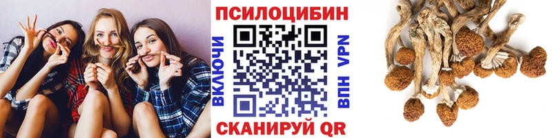 Галлюциногенные грибы Psilocybine cubensis Ялта